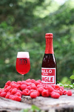 Load image into Gallery viewer, Hallo Ich Bin Single Raspberry - Mikkeller - Raspberry Berliner Weisse, 3.7%, 375ml Bottle
