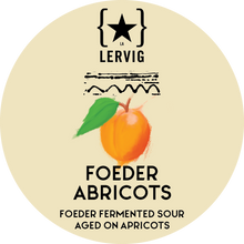 Load image into Gallery viewer, Foeder Abricots - Lervig Bryggeri - Foeder Fermented Sour Aged On Apricots, 6.5%, 375ml Bottle
