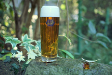 Load image into Gallery viewer, Newbarns Brewery - Löwen Pint Glass - Glassware
