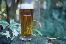 Load image into Gallery viewer, Newbarns Brewery - Löwen Pint Glass - Glassware
