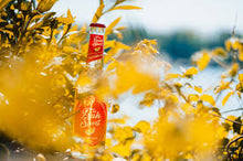 Load image into Gallery viewer, Früh Sport - Cölner Hofbräu Früh - Radler Alkoholfrei, 0%, 330ml Bottle
