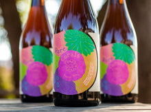 Load image into Gallery viewer, Rare Corals - Jester King - Farmhouse Ale Refermented with Cantaloupe, Guava, Banana, Strawberry, Toasted Coconut &amp; Chamomile, 6.2%, 750ml Sharing Bottles
