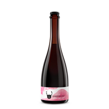 Load image into Gallery viewer, Shnoodlepip 2022 - Wild Beer Co - Foudre Fruit Sour w/ Passionfruit, Hibiscus, Raspberry &amp; Pink Pepper, 6.2%, 500ml Beer Bottle
