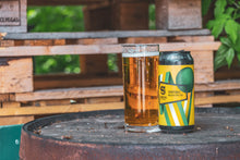Load image into Gallery viewer, Sportsball - Siren Craft Brew - Kölsch Style Ale, 4.5%, 440ml Can
