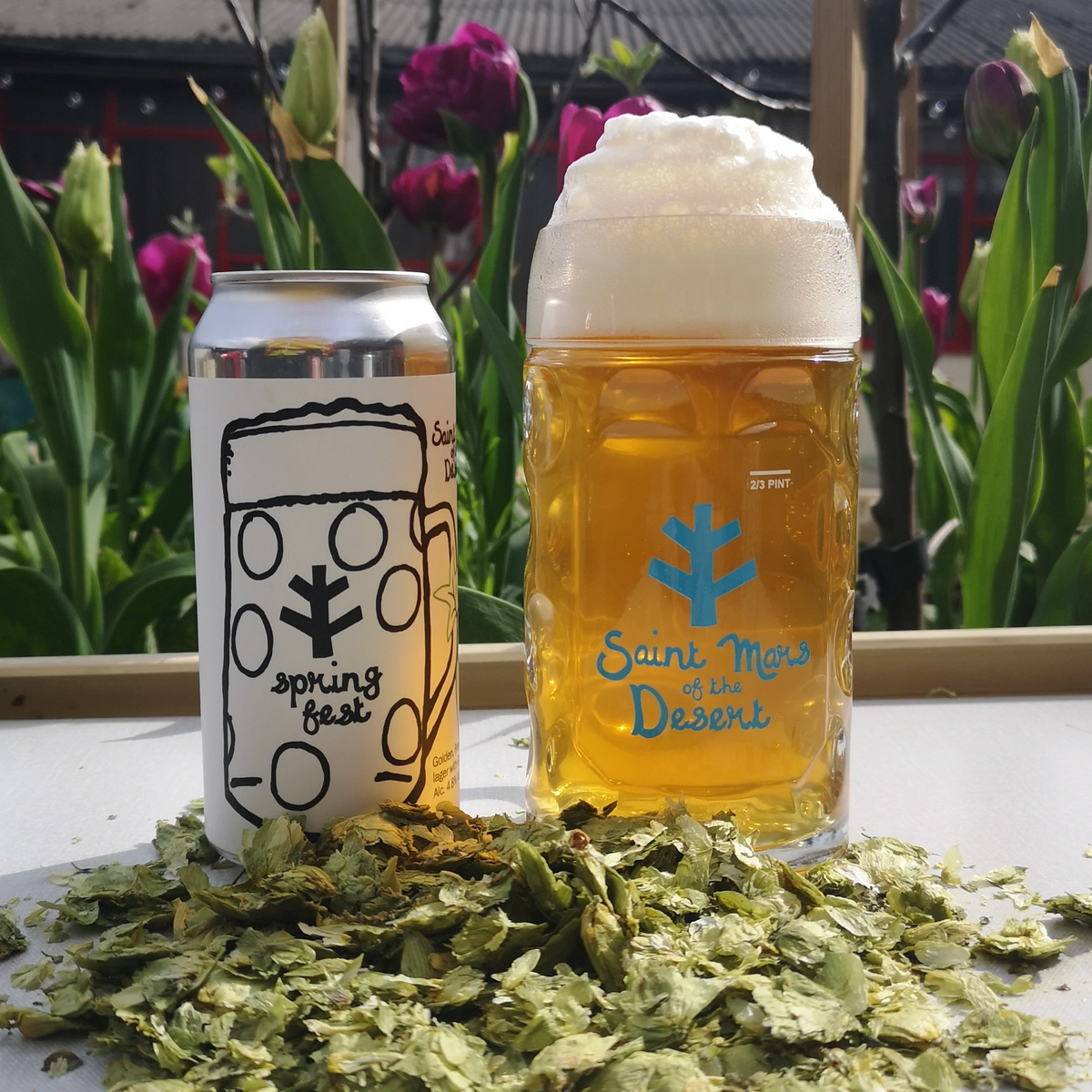 Springfest - Saint Mars Of The Desert - Lager, 4.9%, 440ml Can ...