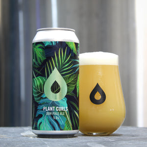 Plant Curls - Polly's Brew Co - DDH Pale Ale, 5.5%, 440ml Can