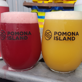 Pomona Island - Viana Tumbler 2/3 - Glassware