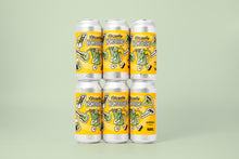Load image into Gallery viewer, Literally Wondering - Verdant Brewing Co X Floc Brewing Project - DIPA, 8.5%, 440ml Can
