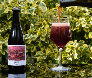 Rouge - Pastore Brewing - Cherry & Raspberry Wild Ale, 5.5%, 375ml Bottle