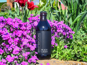 Black Lager - Braybrooke - Black Lager, 5.2%, 330ml Bottle